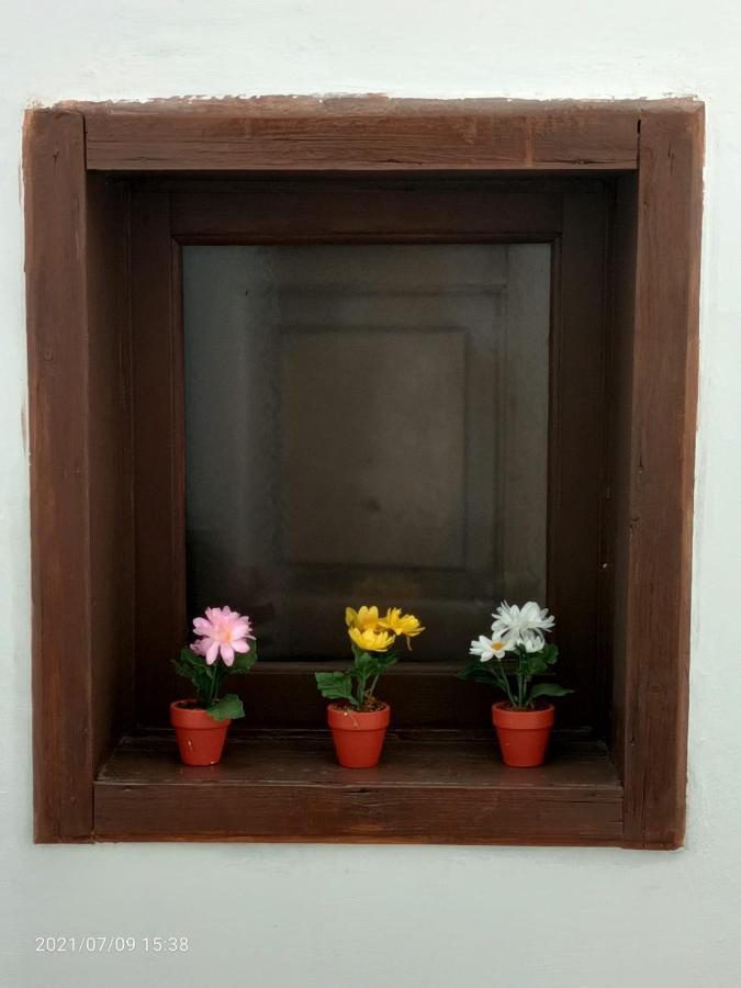 Florhouse Pacini Apartment Катания Екстериор снимка